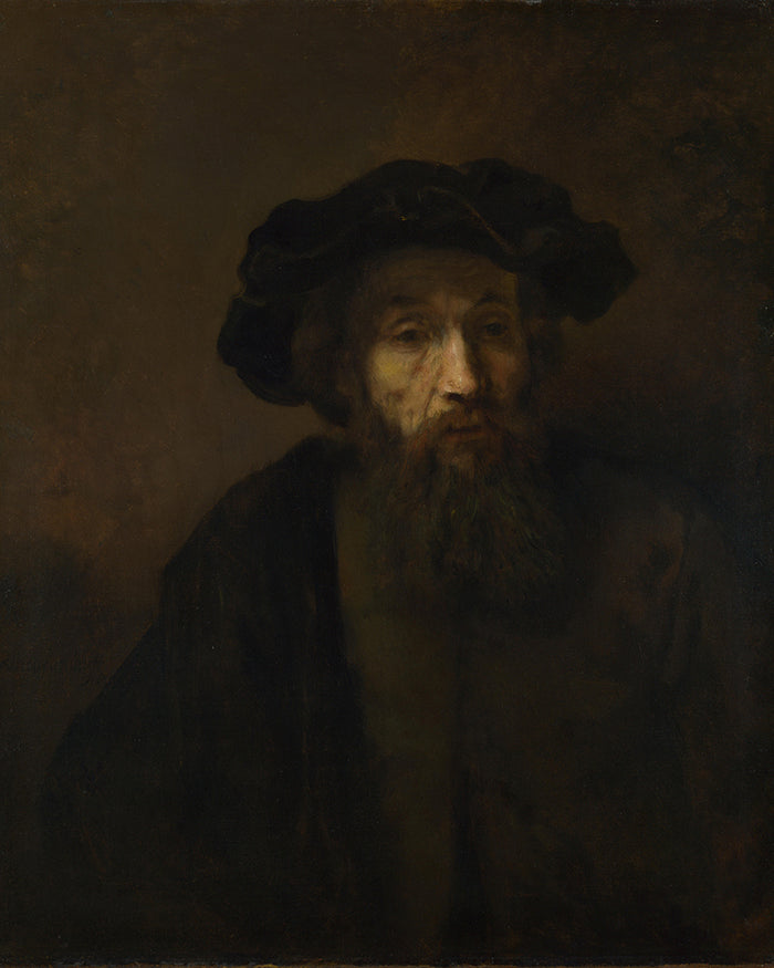 A Bearded Man in a Cap  by Rembrandt Harmenszoon van Rijn
