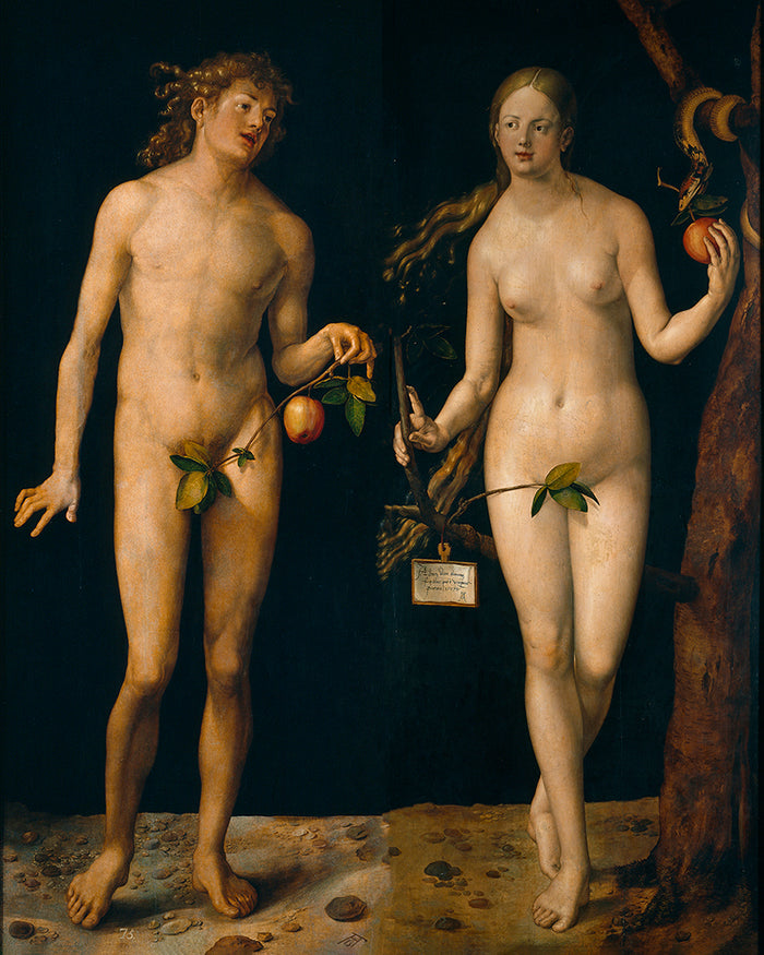 Adam and Eve by Albrecht Durer