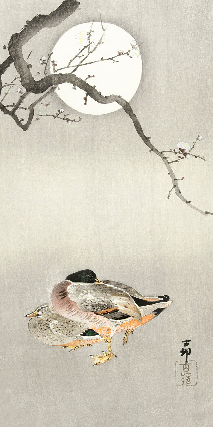 Ducks at full moon by Ohara Koson