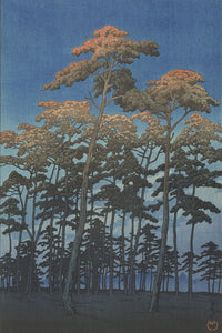 Hikawa_park_in_Omiya_Omiya_Hikawa_no_koen by Kawase Hasui