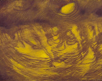 SOphelia auch Luftspiege by Max Ernst