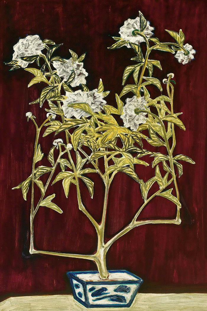 Potted Chrysanthemum in a Blue and White Jardinière by San Yu