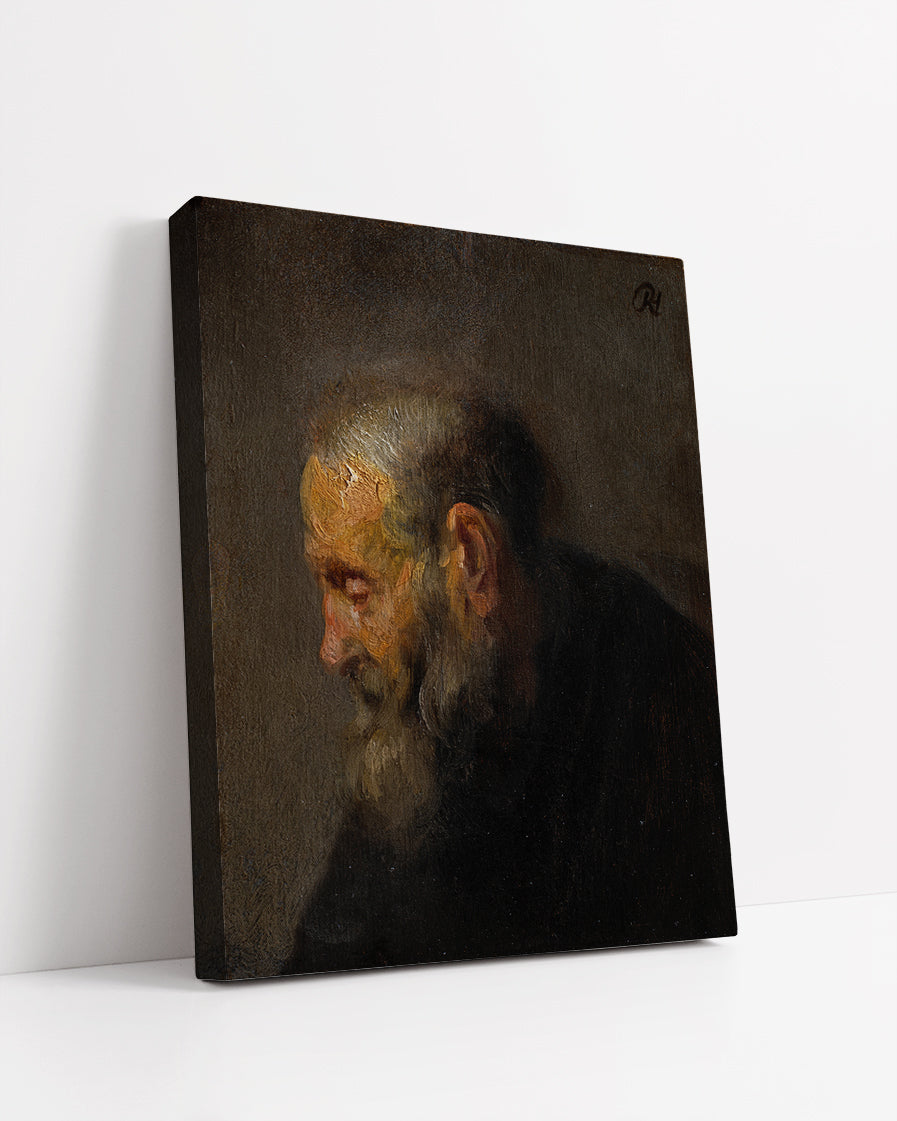 Study Of An Old Man In Profile by Rembrandt Harmenszoon van Rijn
