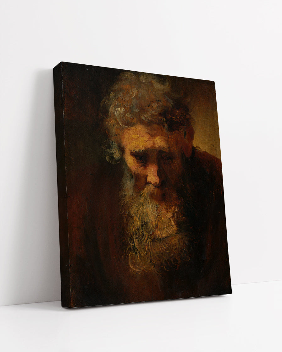 Study of an Old Man by Rembrandt Harmenszoon van Rijn