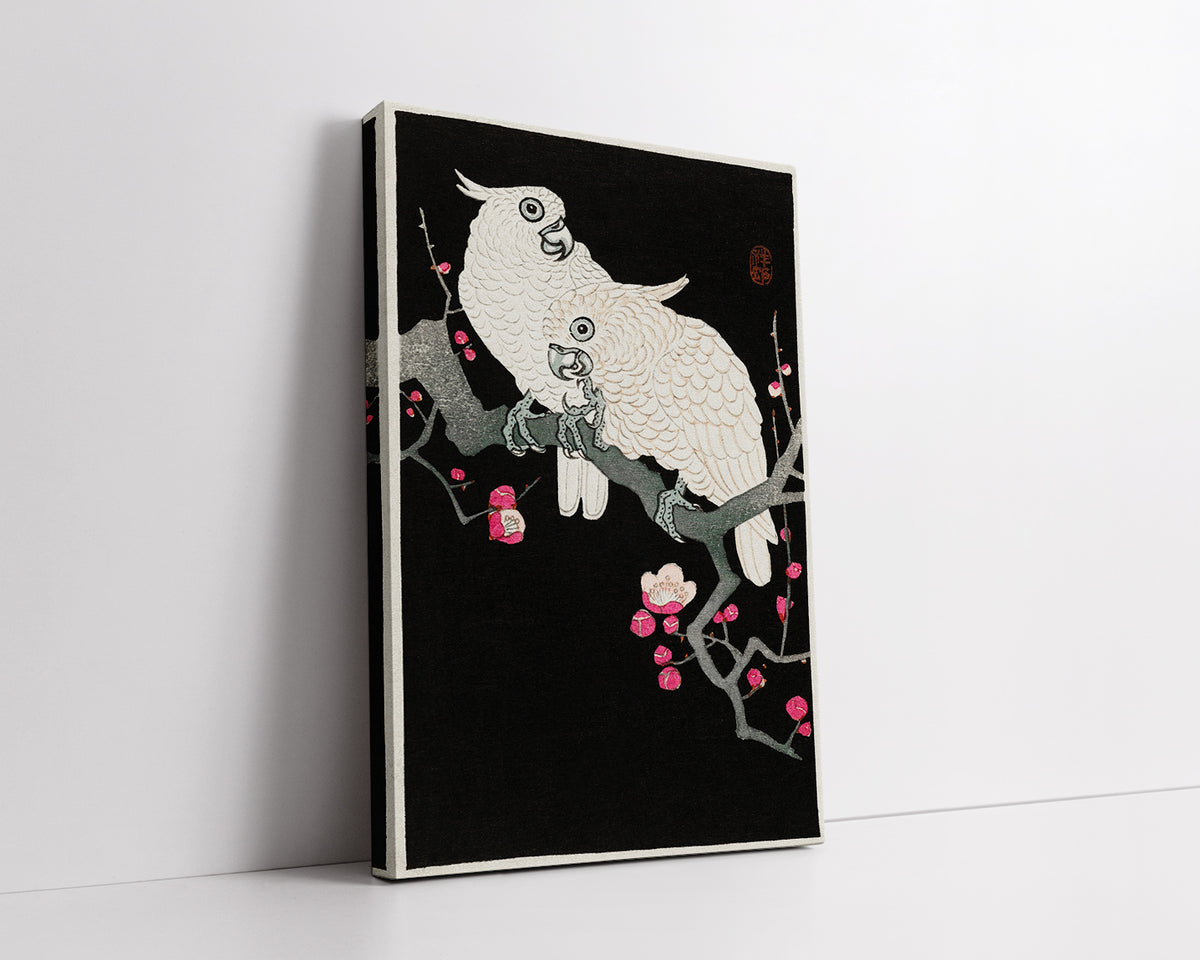 Two cockatoo and plum blossom by Ohara Koson