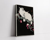 Two cockatoo and plum blossom by Ohara Koson