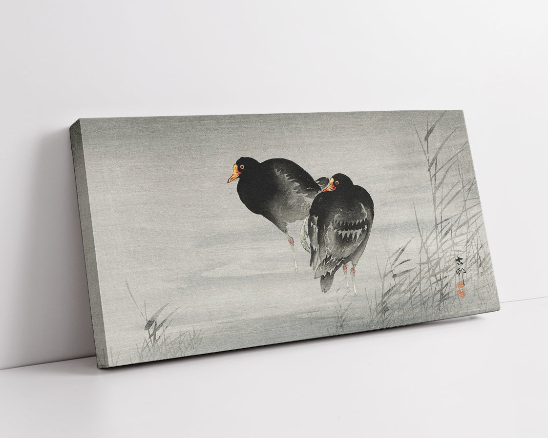 Two moorhens by Ohara Koson