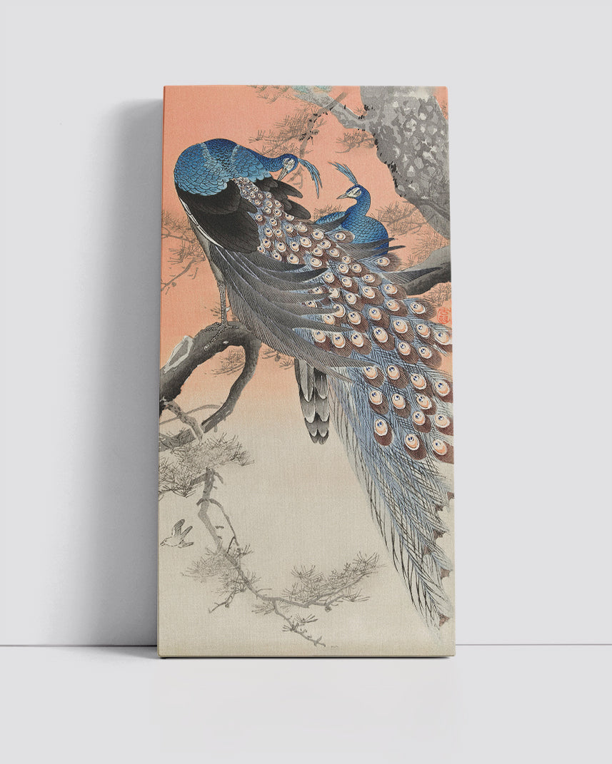 Two peacocks on tree branch by Ohara Koson