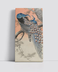 Two peacocks on tree branch by Ohara Koson