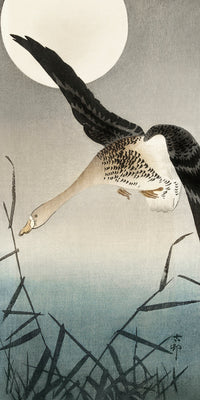White-fronted goose at full moon by Ohara Koson