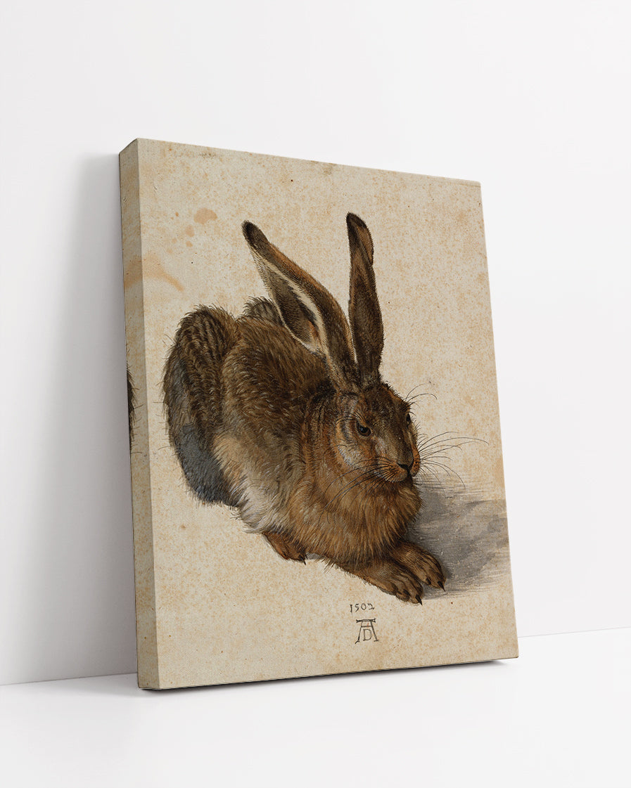 Young Hare by Albrecht Durer