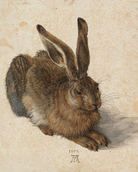 Young Hare by Albrecht Durer