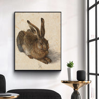 Young Hare by Albrecht Durer