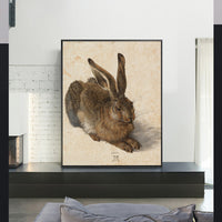 Young Hare by Albrecht Durer