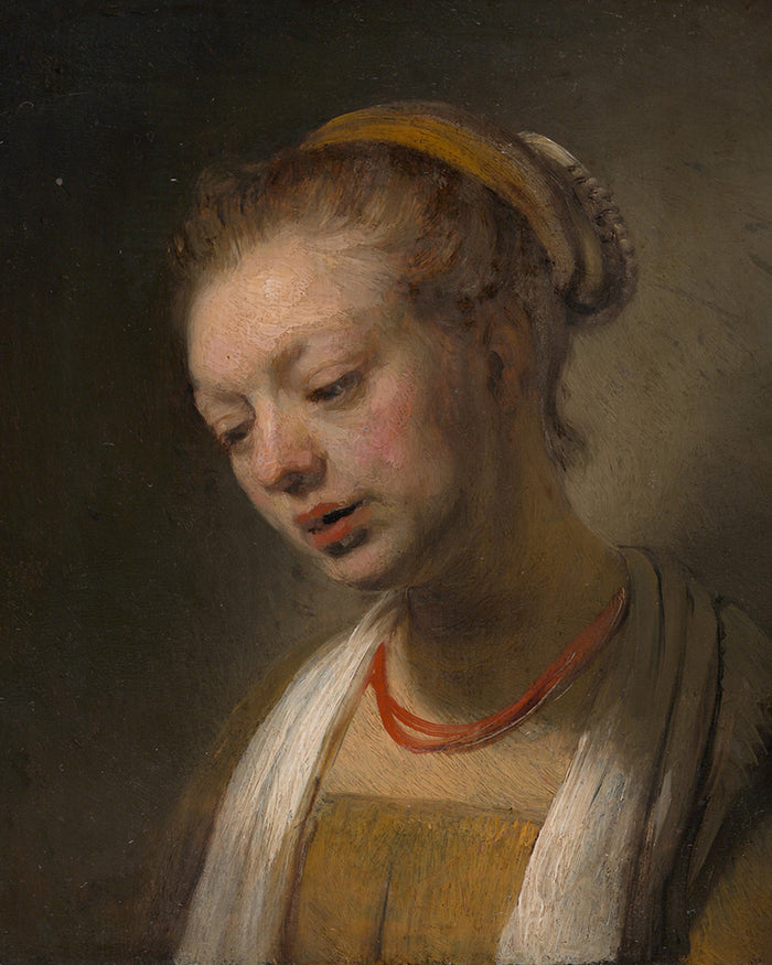 Young Woman with a Red Necklaceby Rembrandt Harmenszoon van Rijn
