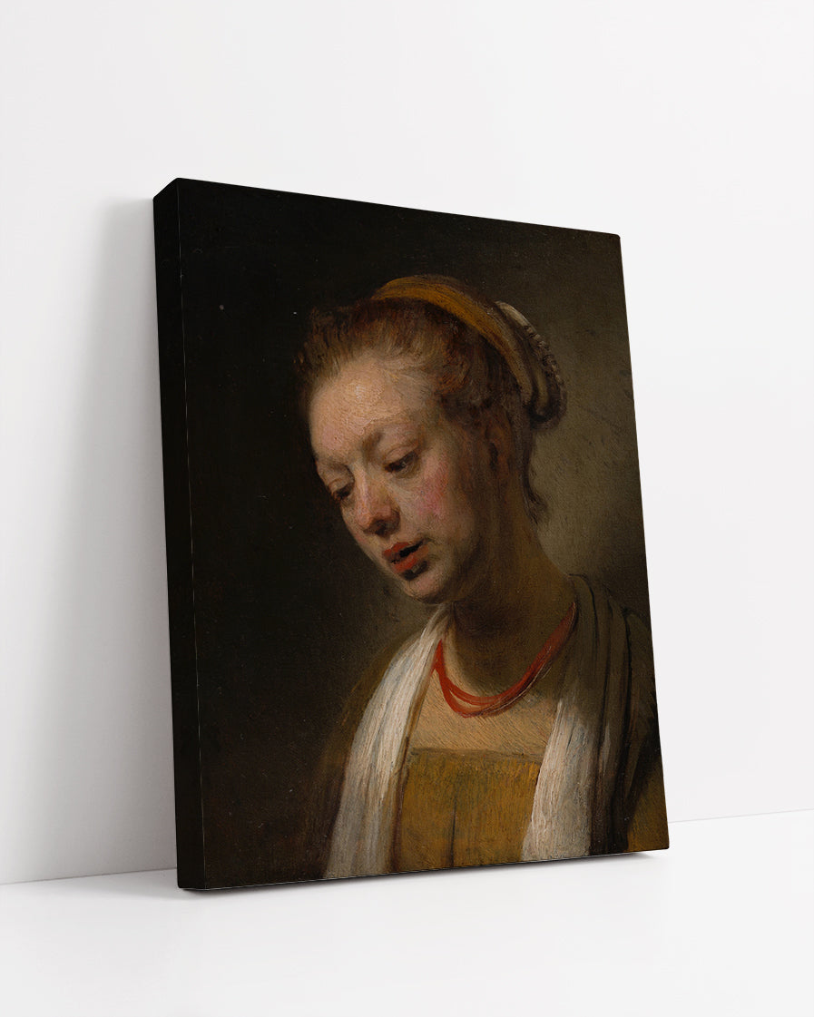 Young Woman with a Red Necklaceby Rembrandt Harmenszoon van Rijn