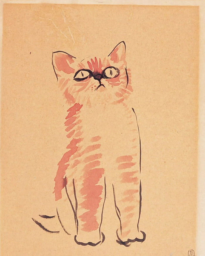 a cat by San Yu