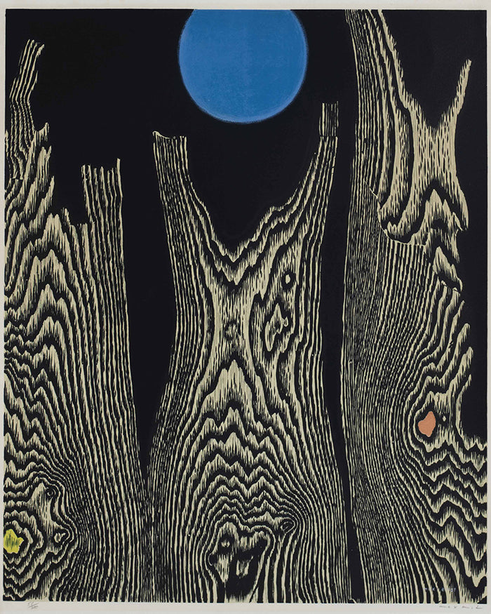 after max ernst foret et soleil by Max Ernst