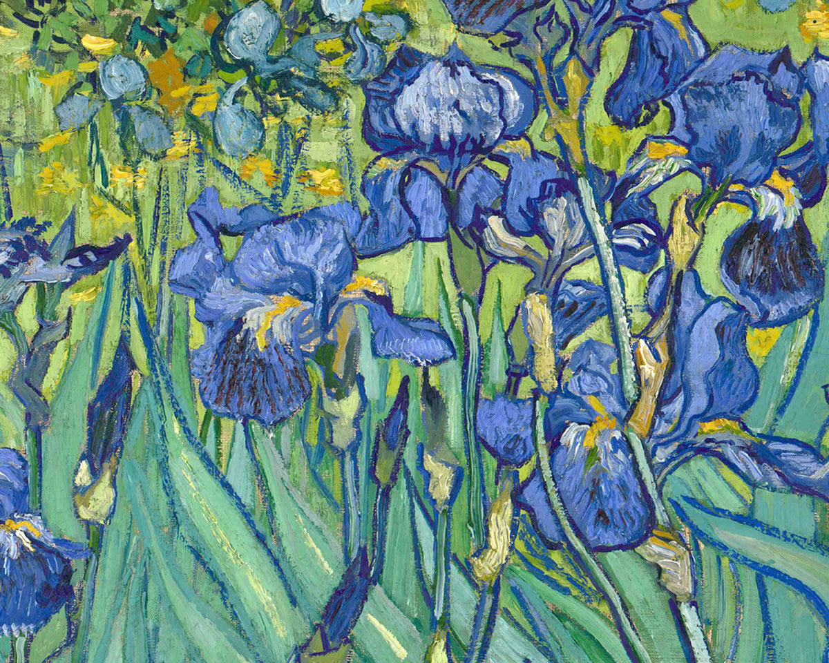 Irises by Vincent van Gogh