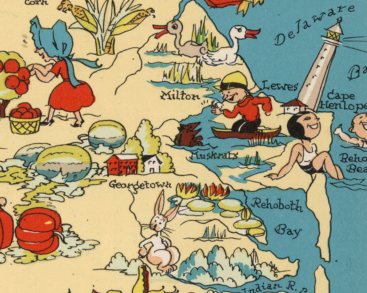 Delaware Funny Vintage Map