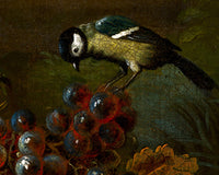 Two Macaws, a Cockatoo and a Jay, with Fruit by Jakob Bogdani