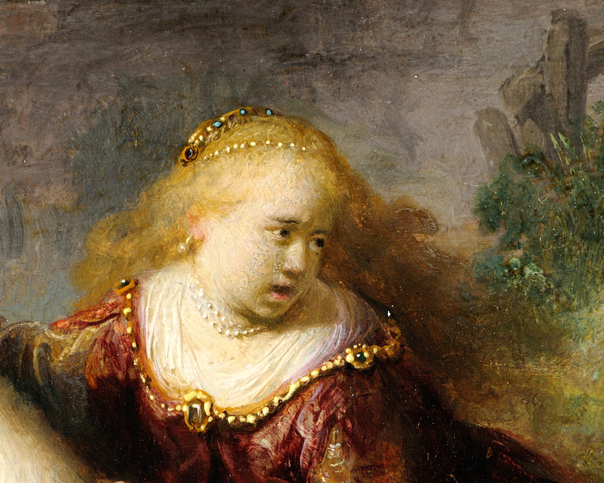 the abduction of europa by Rembrandt