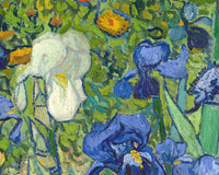 Irises by Vincent van Gogh