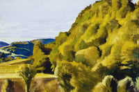 Bob Slaters Hill by Edward Hopper