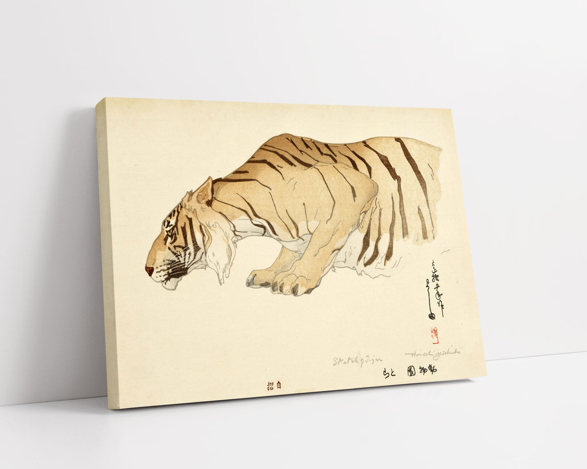 Sketch Of Tiger by Hiroshi Yoshida