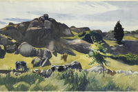 Cape Ann Pasture by Edward Hopper