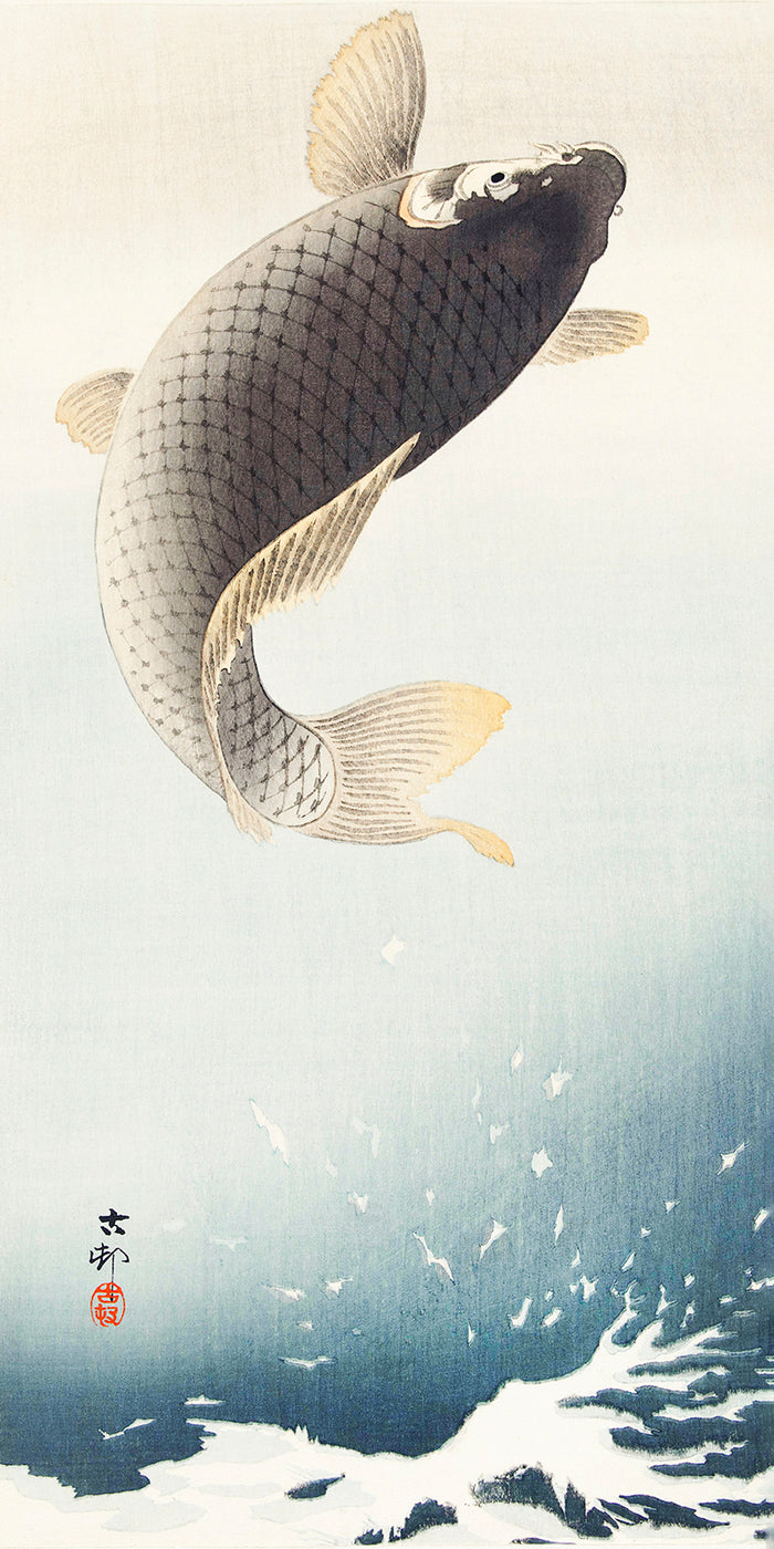 A jumping carp by Ohara Koson