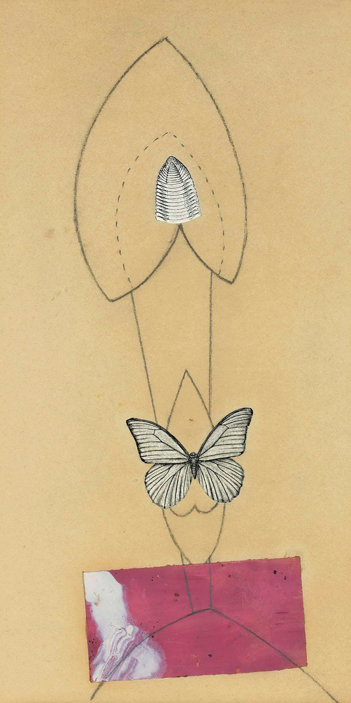 Beehive And Butterfly by Max Ernst