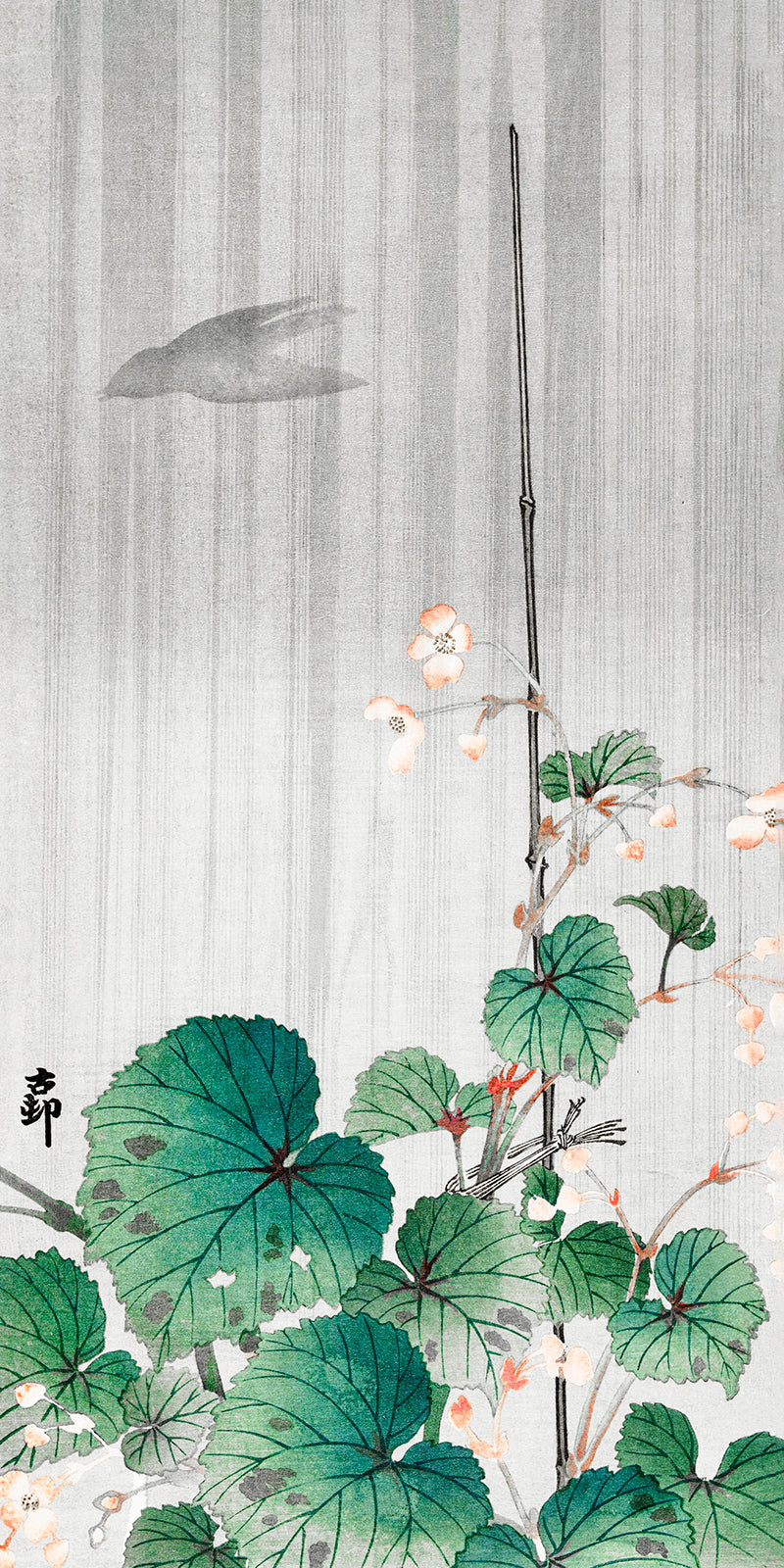 Begonia in the rain by Ohara Koson