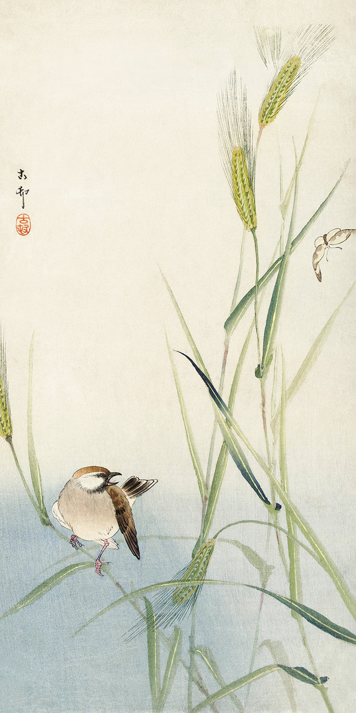 Bird and butterfly by Ohara Koson