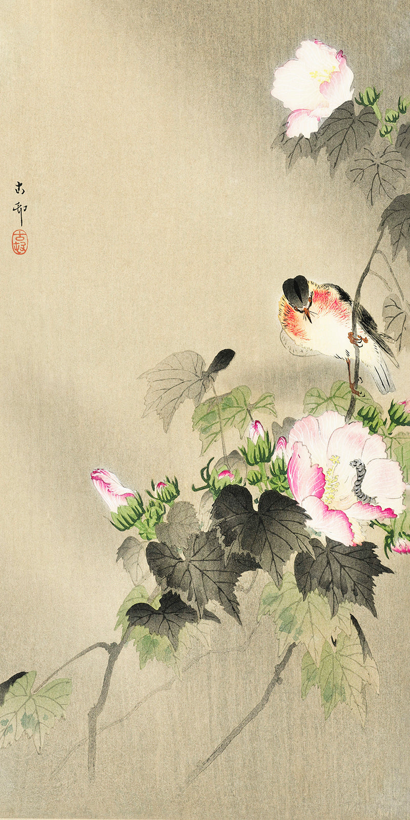 Bird and caterpillar by Ohara Koson