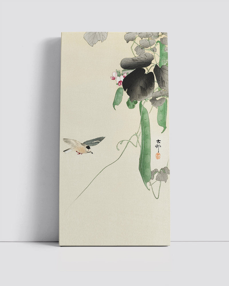 Bird at flowering bean plant by Ohara Koson