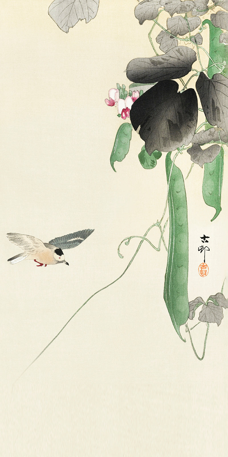 Bird at flowering bean plant by Ohara Koson