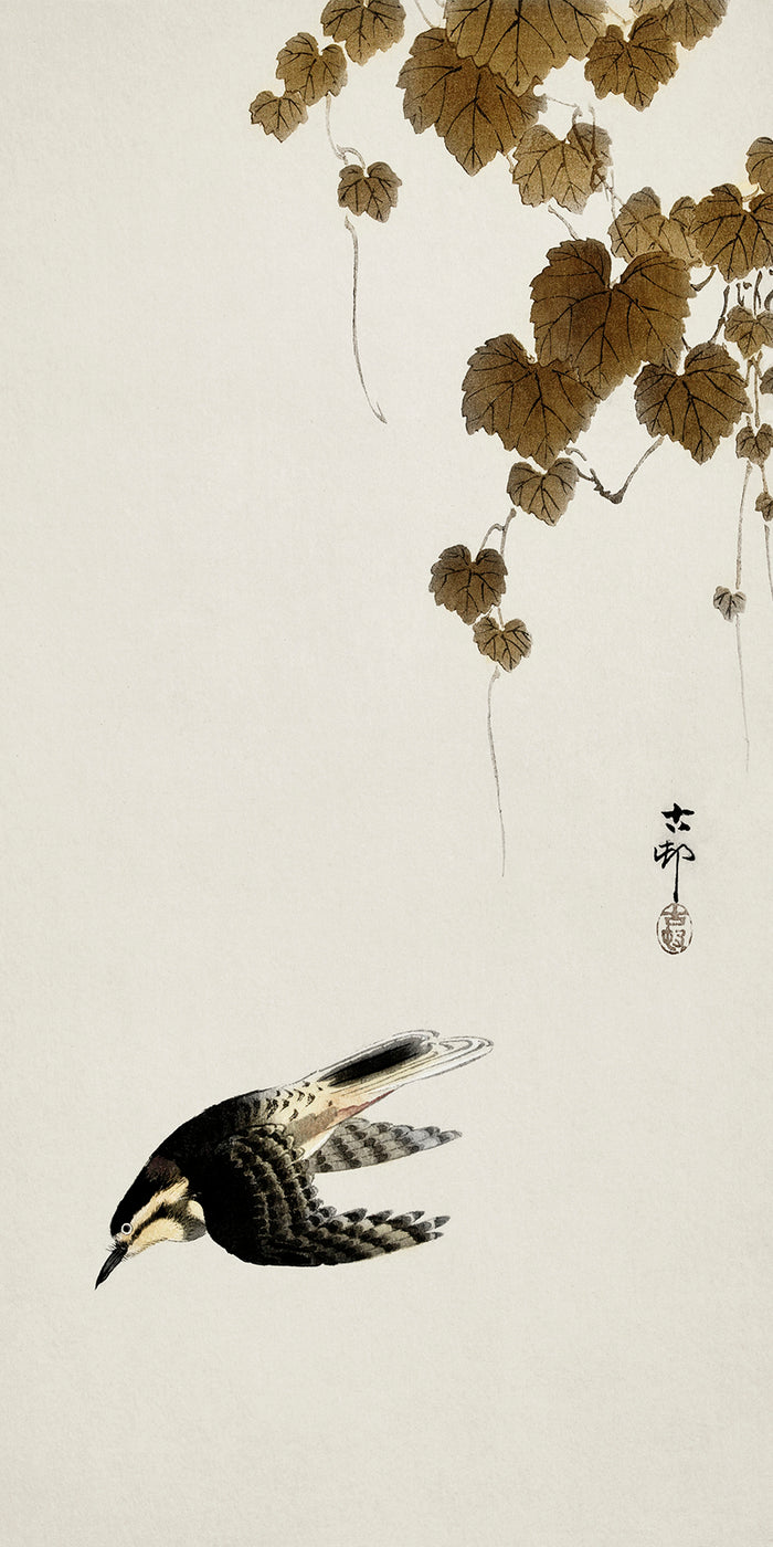 Bird in downward flight by Ohara Koson