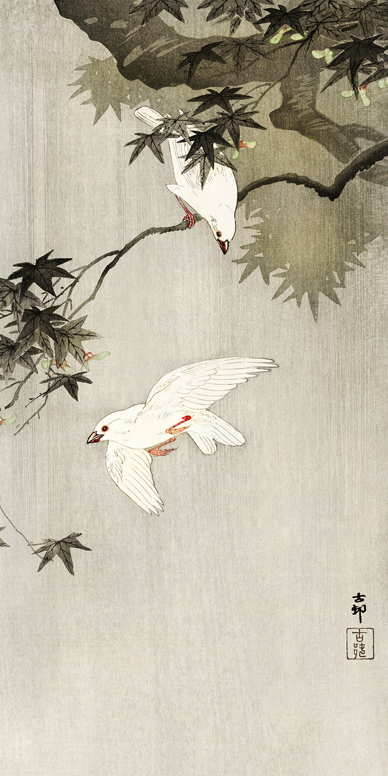 Birds in rainby Ohara Koson