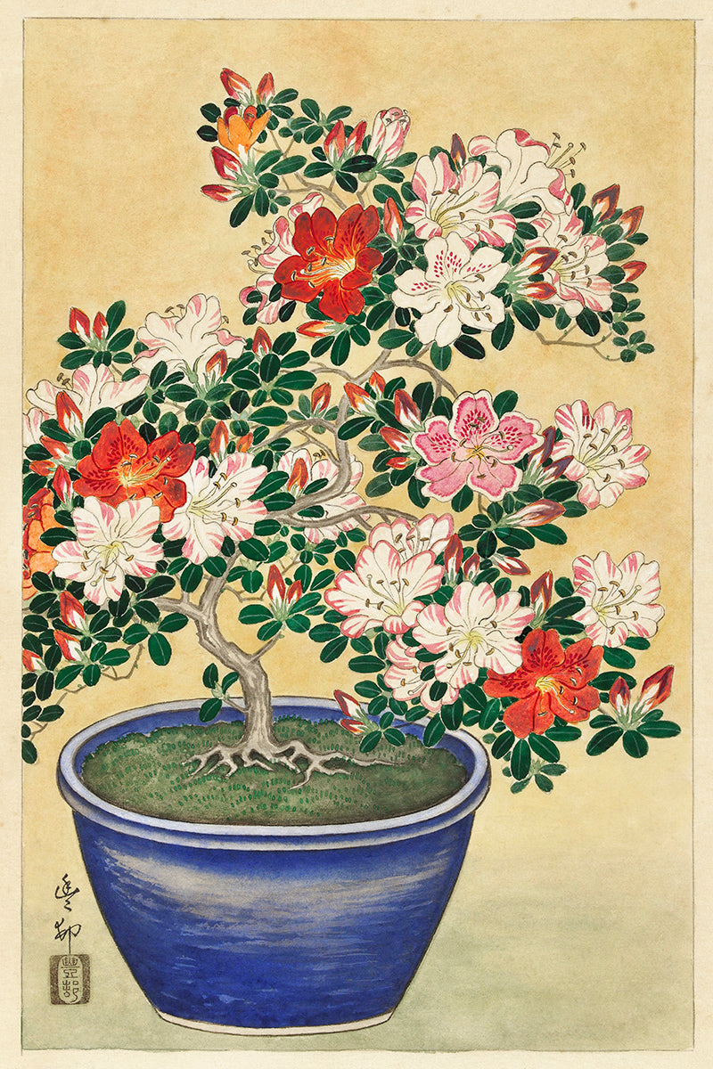 Blooming azalea in blue pot  by Ohara Koson