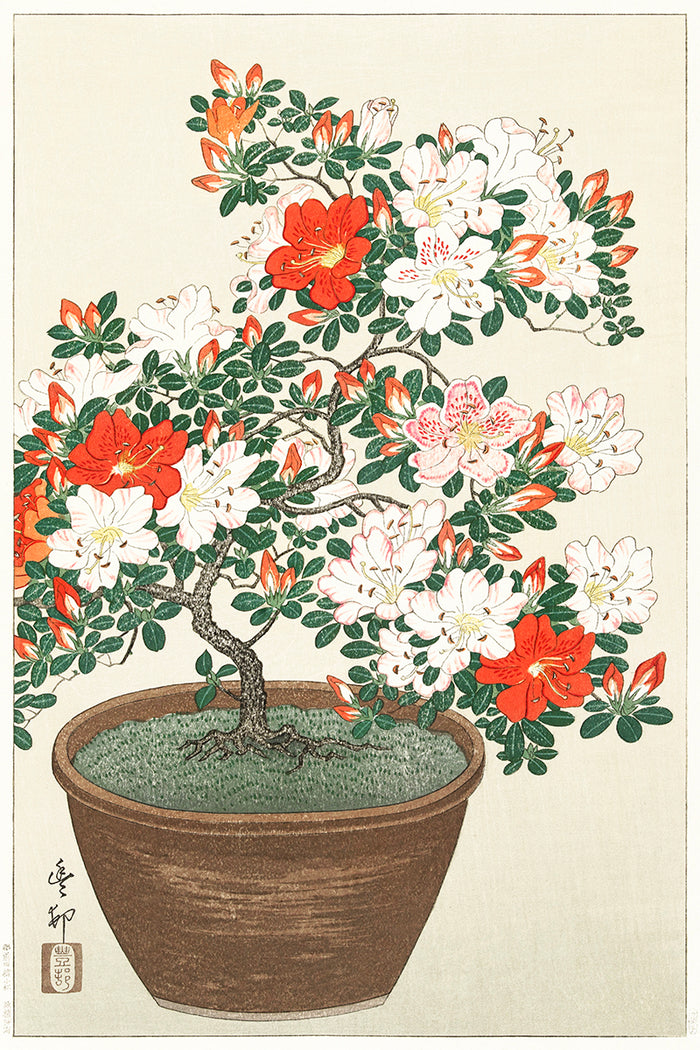 Blooming azalea in brown pot by Ohara Koson