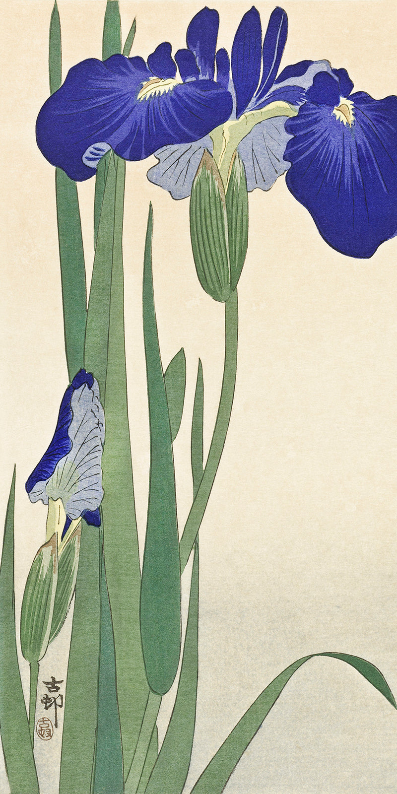 Blue Irises by Ohara Koson