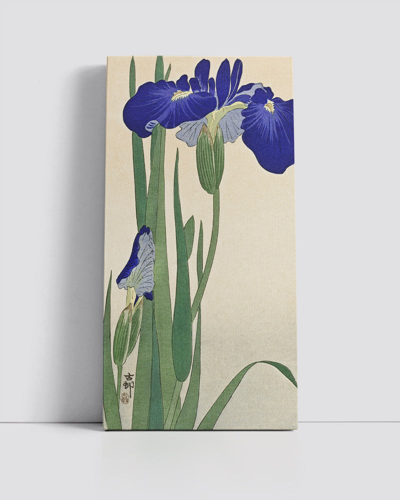 Blue Irises by Ohara Koson