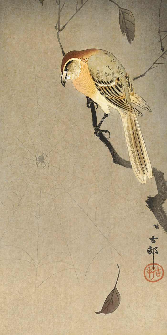 Buffalo wing shrike and spider-1 by Ohara Koson