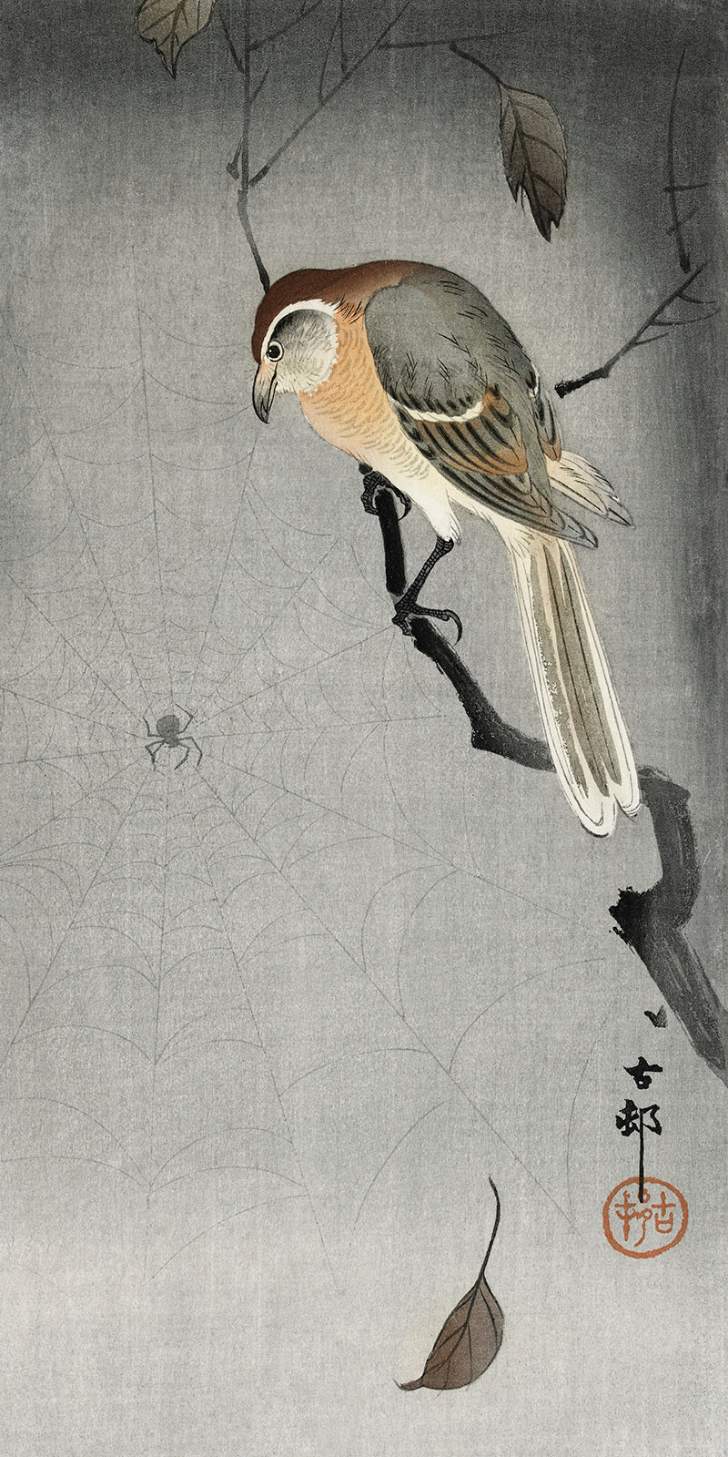 Buffalo wing shrike and spider by Ohara Koson