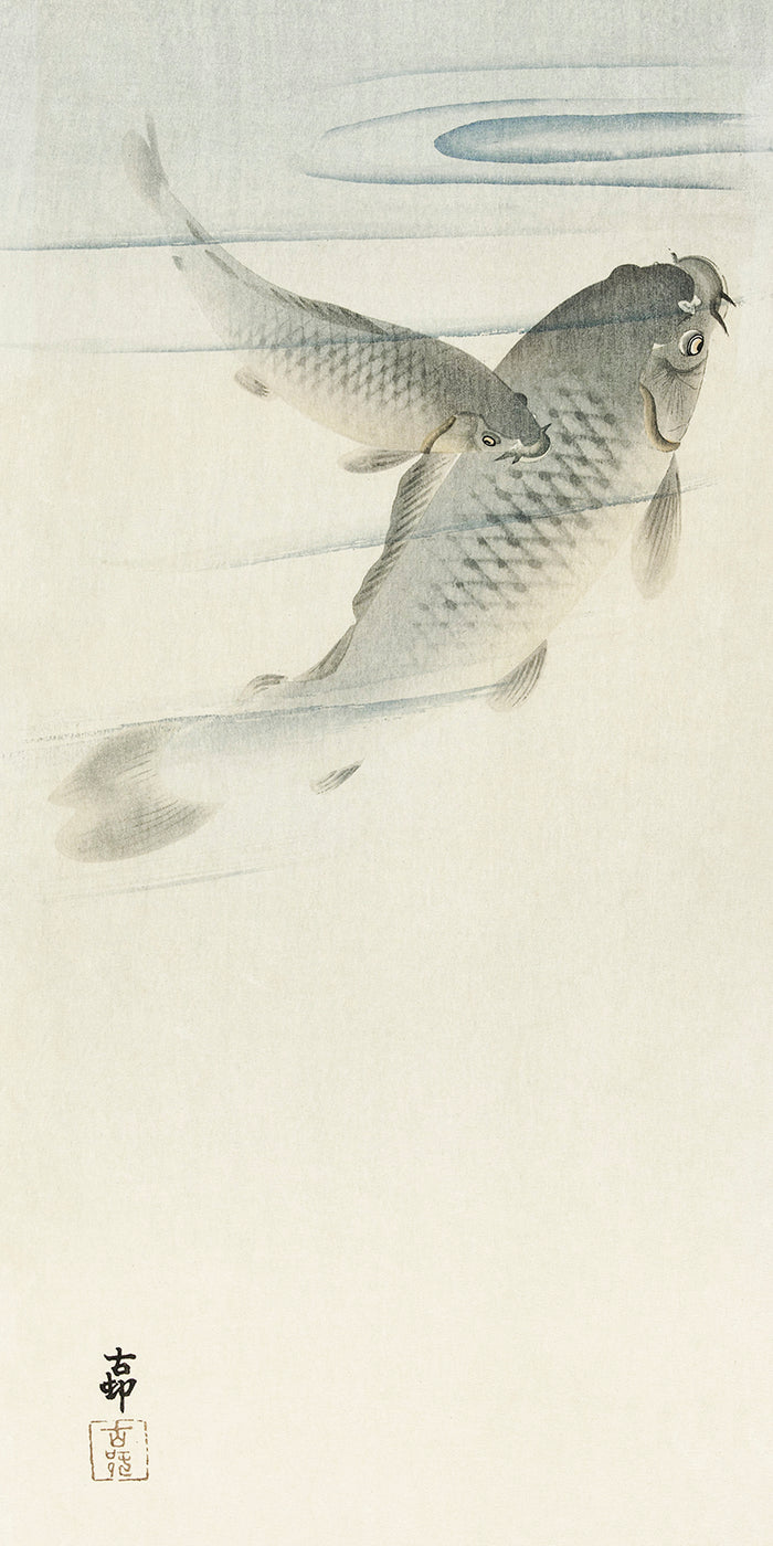 Carp by Ohara Koson