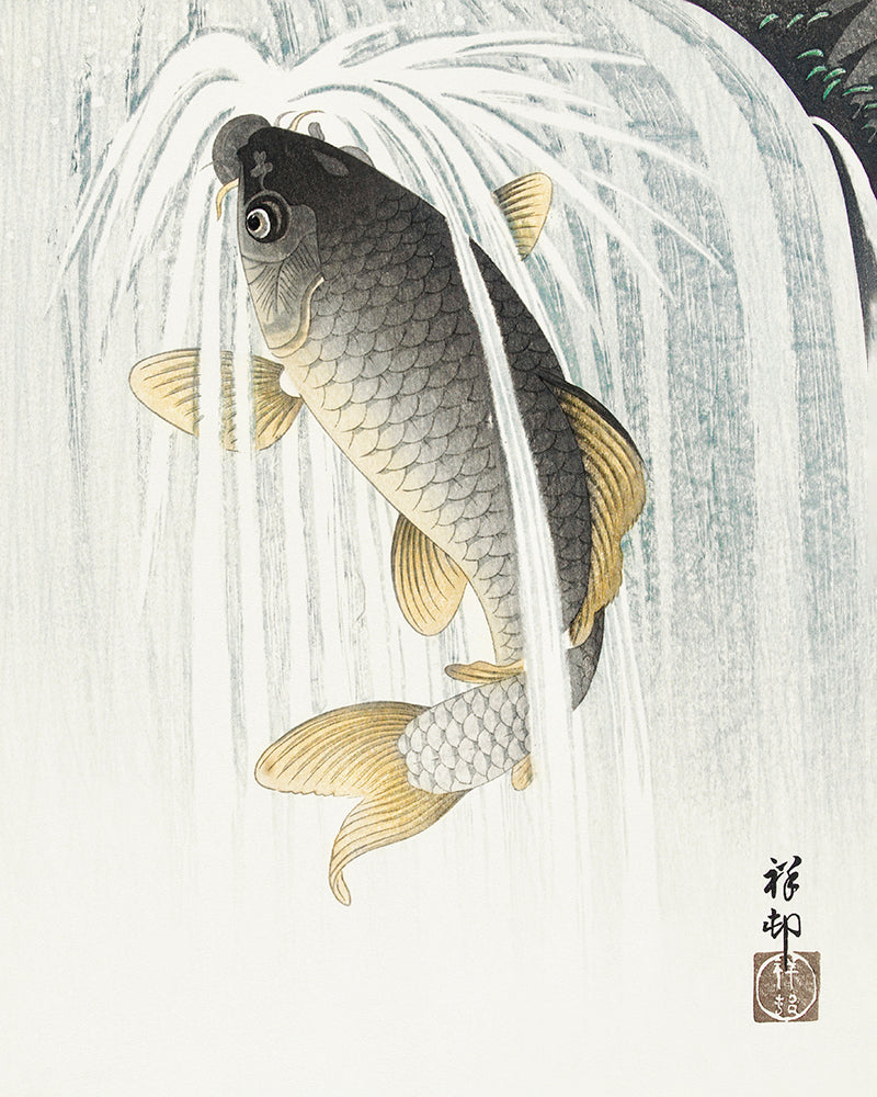 Carp by Ohara Koson