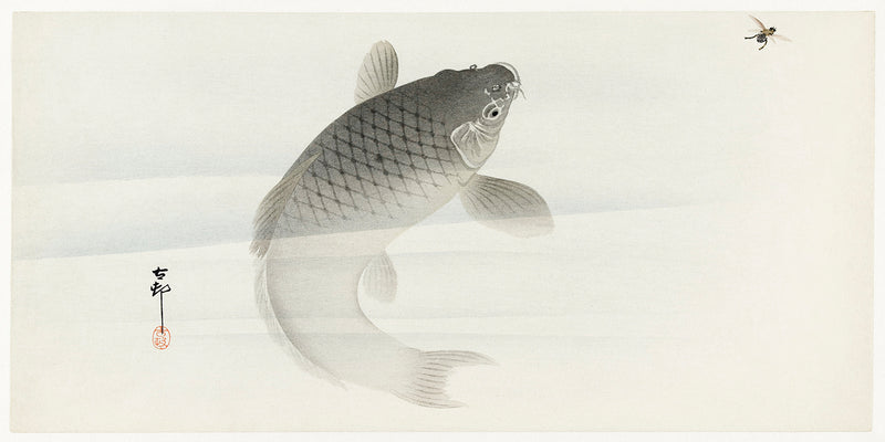 Carp and fly by Ohara Koson