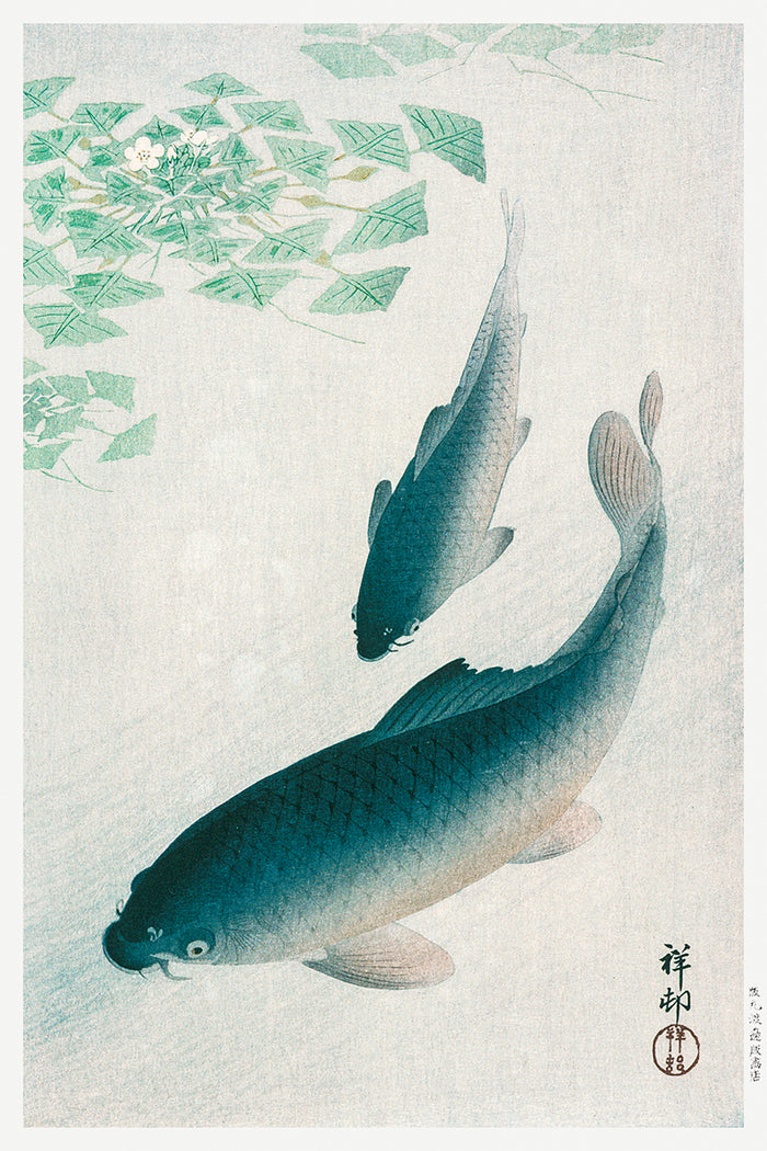 Carp or Koi by Ohara Koson