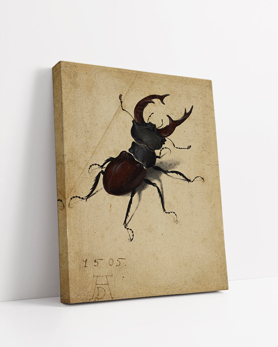 Cervus Lucanus by Albrecht Durer